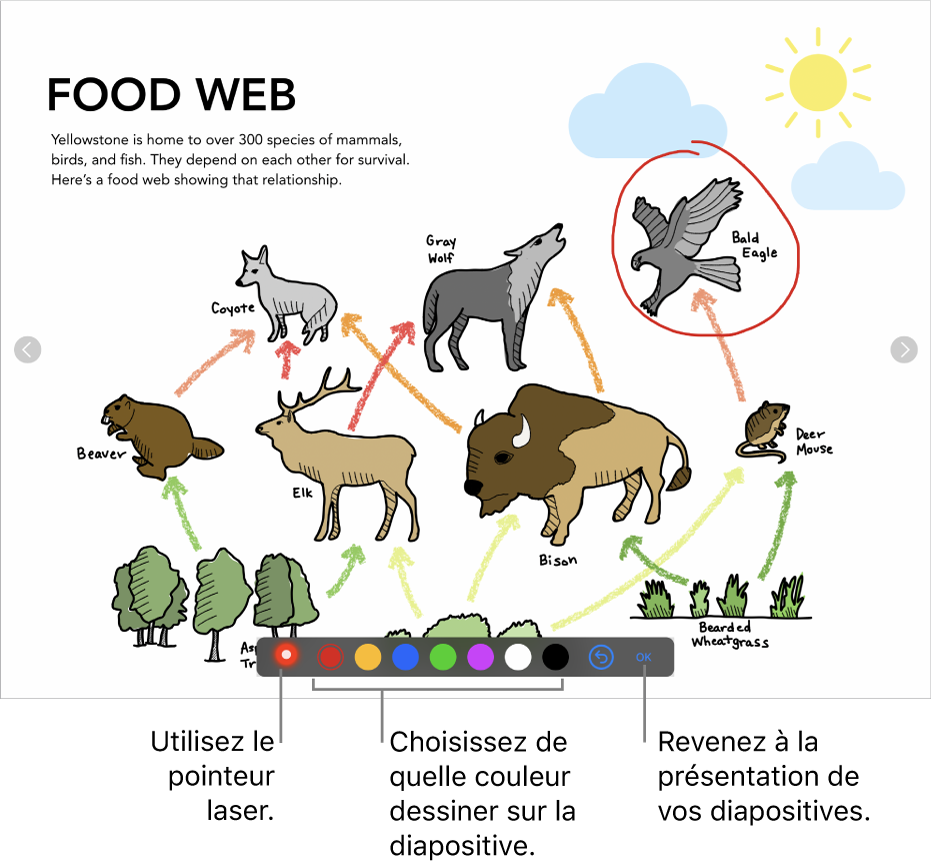 Une diapositive en mode d’illustration de diapositive affichant le pointeur laser et les commandes de sélection de couleur.