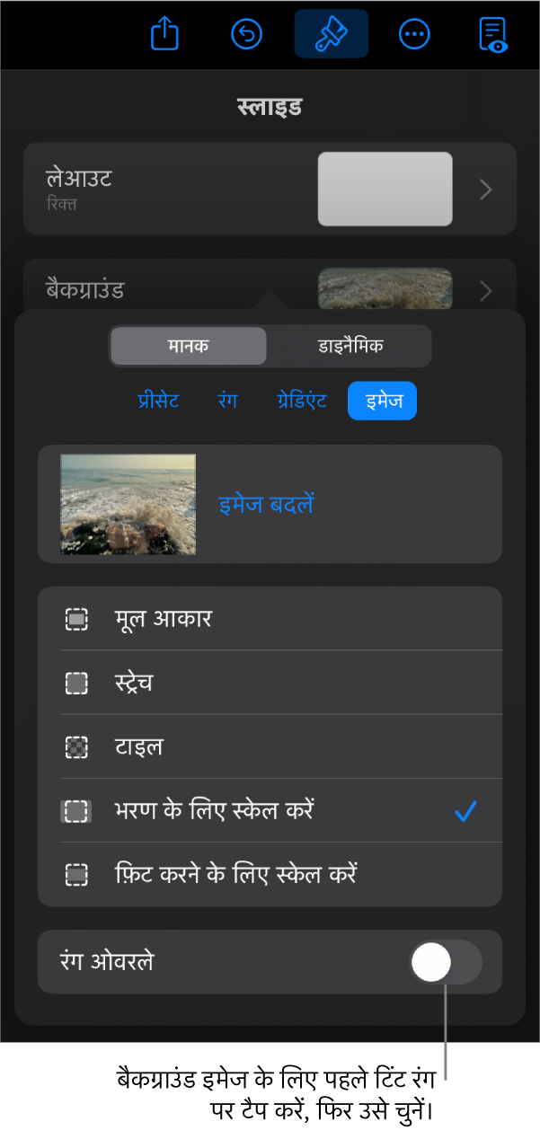 बैकग्राउंड नियंत्रण, जिनके सबसे निचले भाग में इमेज को स्लाइड बैकग्राउंड और रंग ओवरले नियंत्रण के रूप में सेट किया गया है।