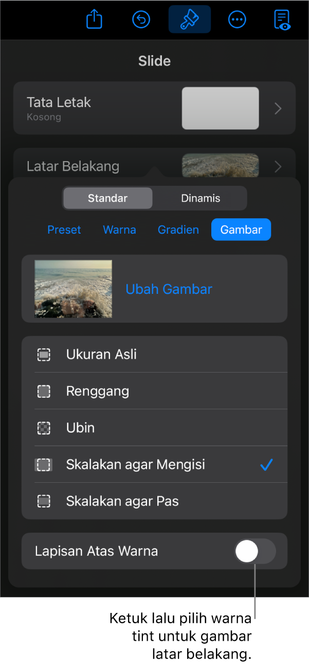 Kontrol Latar Belakang dengan gambar diatur sebagai latar belakang slide dan kontrol Lapisan Atas Warna di bagian bawah.