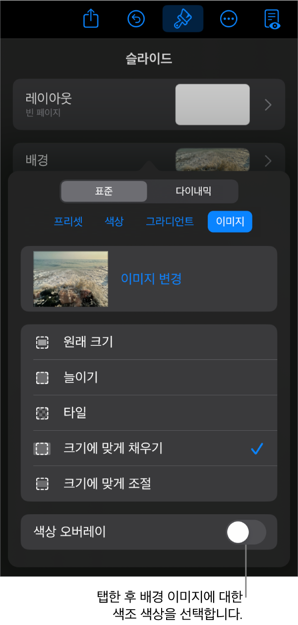 이미지가 슬라이드 배경으로 설정되고 하단에 색상 오버레이 제어기가 있는 배경 제어기.