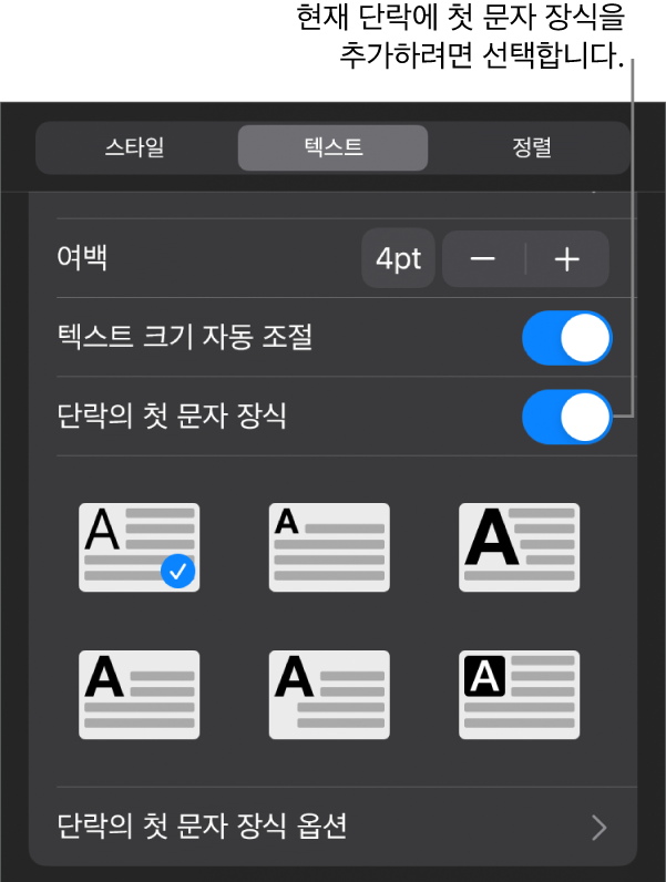텍스트 메뉴에 위치한 ‘단락의 첫 문자 장식’ 제어기.