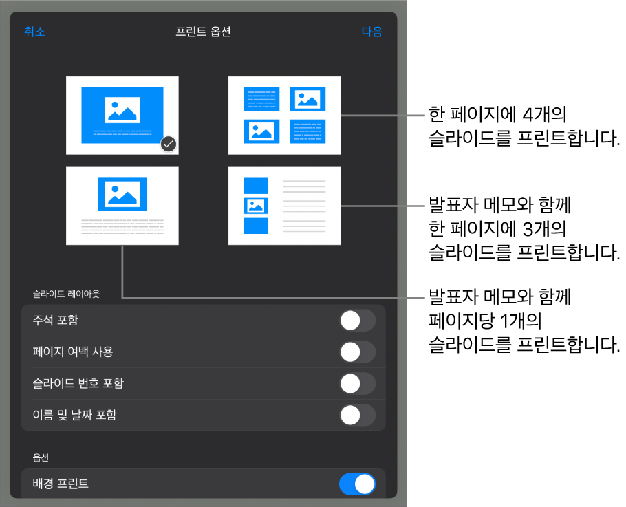 프린트 레이아웃 옵션.