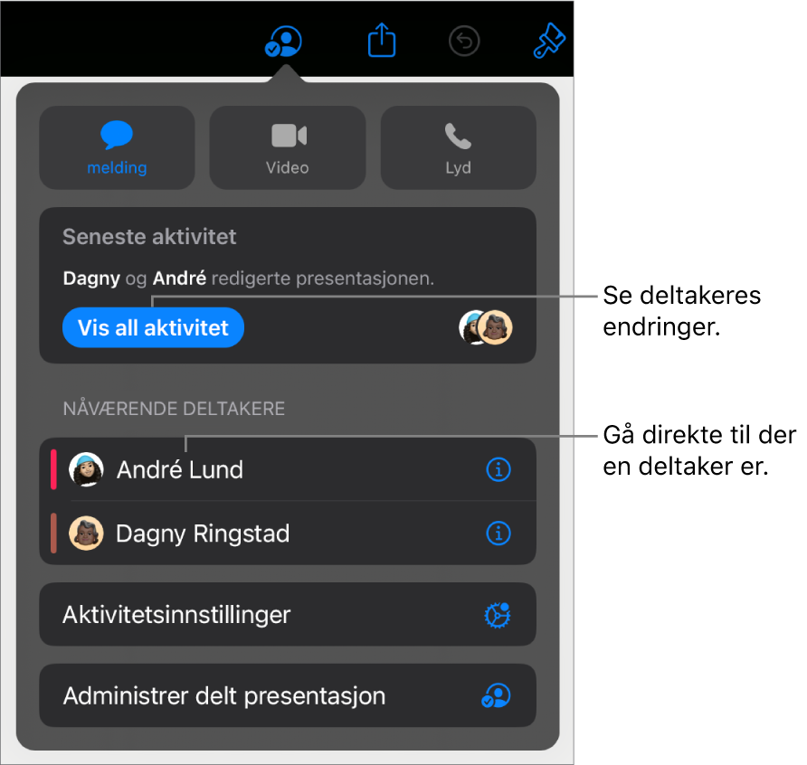 Samarbeidsmenyen, som viser gjeldende deltakere.
