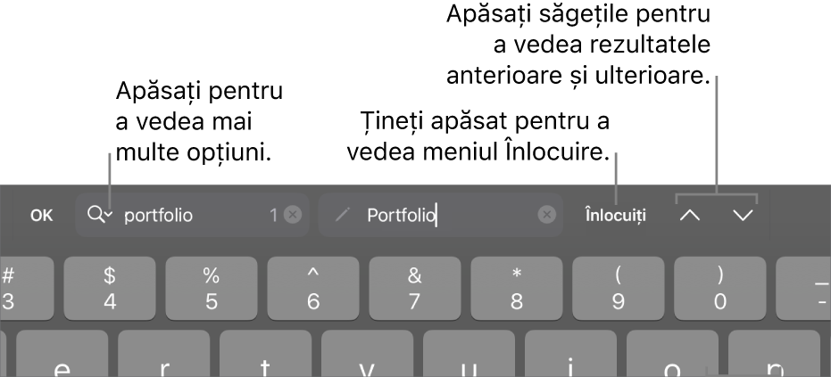 Comenzile Găsește și înlocuiește de deasupra tastaturii, cu explicații pentru butoanele Opțiuni de căutare, Înlocuiți, În sus și În jos.
