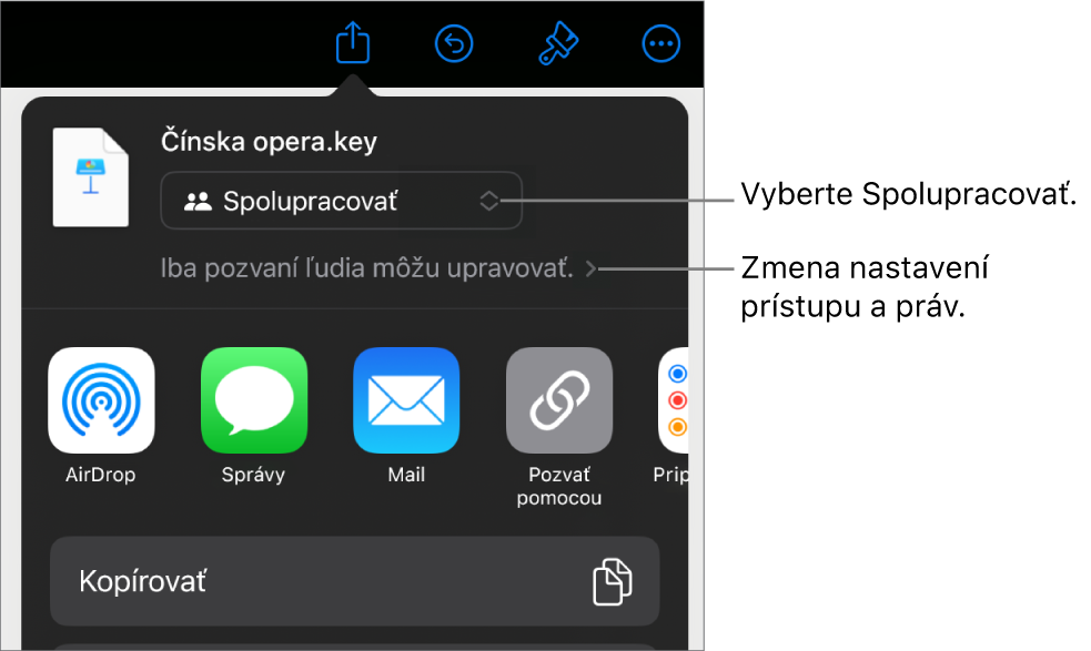 Menu Zdieľať s vybranou možnosťou Spolupracovať navrchu a pod ňou sa nachádzajú nastavenia prístupu a povolení.