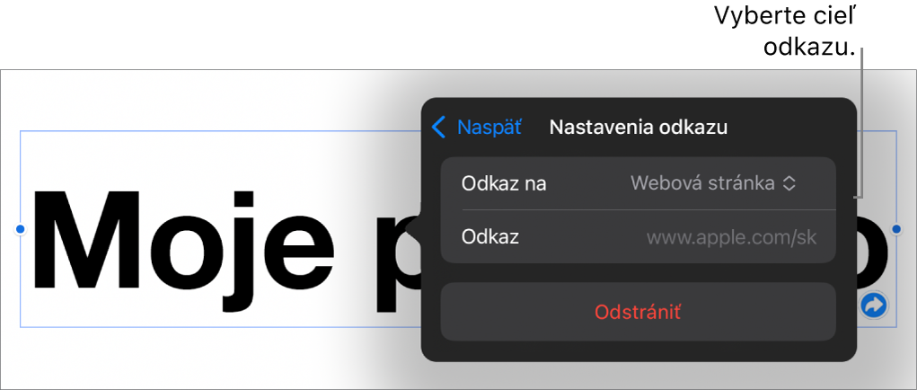 Ovládacie prvky nastavení odkazov s vybranou položkou Webová stránka a tlačidlom Odstrániť v dolnej časti.