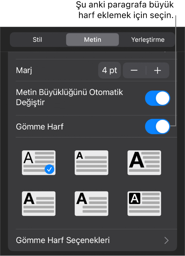 Metin menüsünde yer alan İlki Büyük Harf denetimleri.
