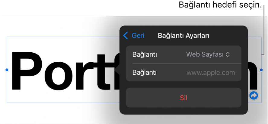Bağlantı Ayarları denetimlerinde Web Sayfası seçili, en altta ise Sil düğmesi bulunuyor.
