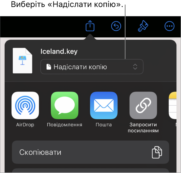 Меню «Поширення», у якому вгорі вибрано елемент «Поширити копію».