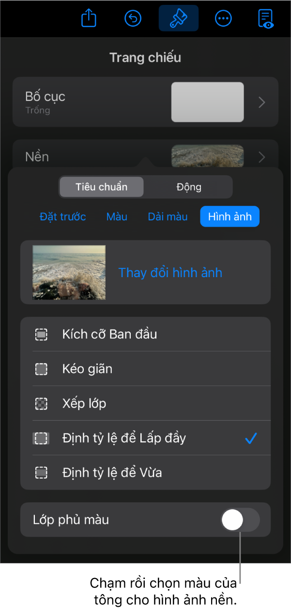Các điều khiển Nền với hình ảnh được đặt dưới dạng nền trang chiếu và điều khiển Lớp phủ màu ở dưới cùng.