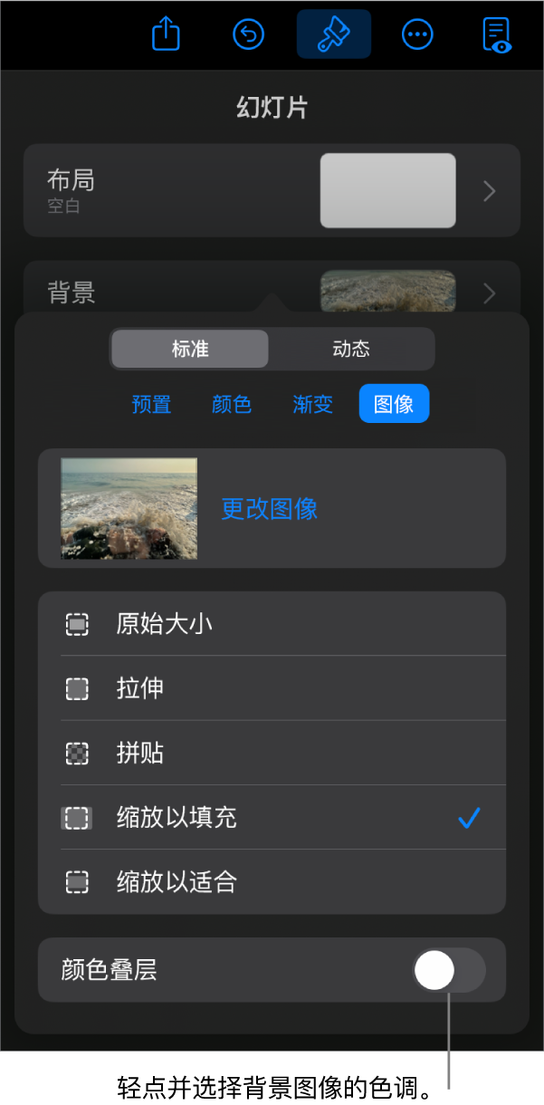 “背景”控制，其中图像设为幻灯片背景，底部为“颜色叠层”控制。