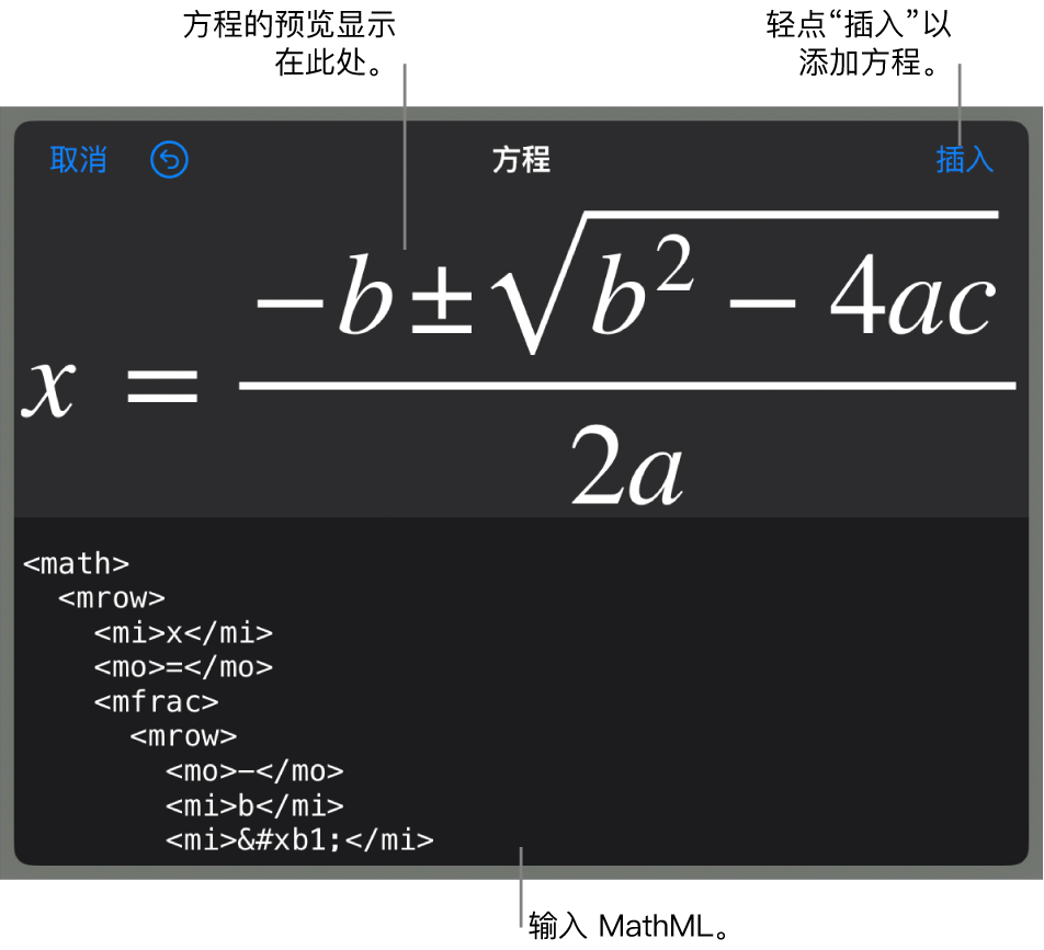 “方程”对话框，显示使用 MathML 命令所写的方程，以及上方公式的预览。