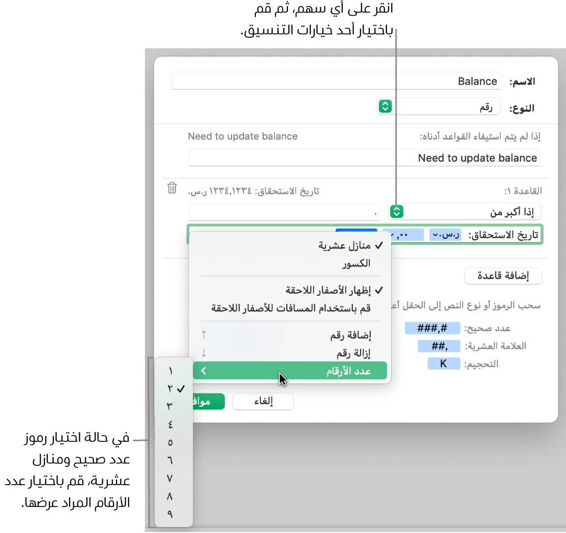 نافذة تنسيق خلية مخصصة مع عناصر التحكم لاختيار خيارات التنسيق المخصص.