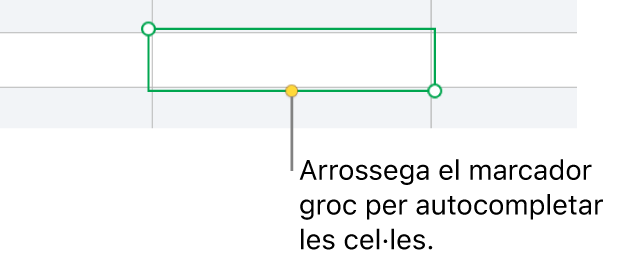 Una cel·la seleccionada amb un marcador groc que pots arrossegar per autocompletar cel·les.