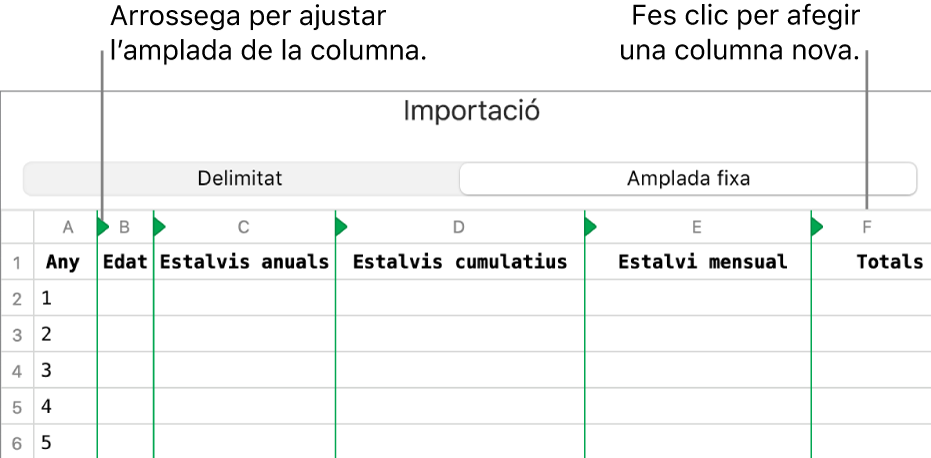 Els paràmetres d’importació d’un arxiu de text d’amplada fixa.