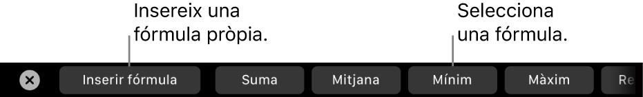 La Touch Bar del MacBook Pro amb controls per inserir la teva pròpia fórmula o triar entre les fórmules utilitzades habitualment.