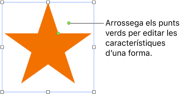 Una forma amb marcadors de selecció.