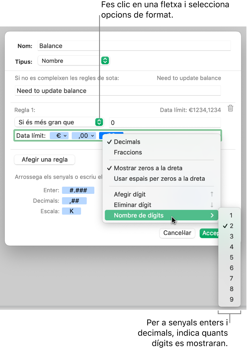 La finestra de format de cel·la personalitzat, amb controls per seleccionar les opcions de format personalitzat.