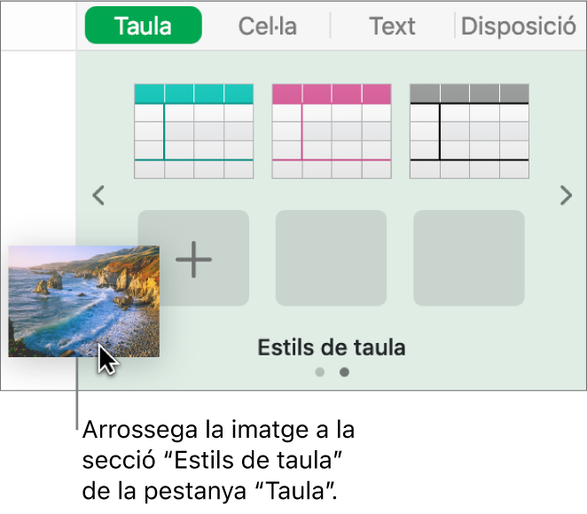 Arrossegar una imatge als estils de taula per crear un nou estil.