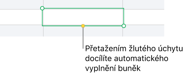 Vybraná buňka se žlutým úchytem, jehož tažením můžete automaticky vyplnit další buňky