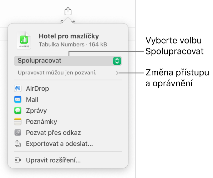 Nabídka sdílení, v níž je nahoře vidět vybraná volba Spolupracovat a pod ní volby pro nastavení přístupu a oprávnění