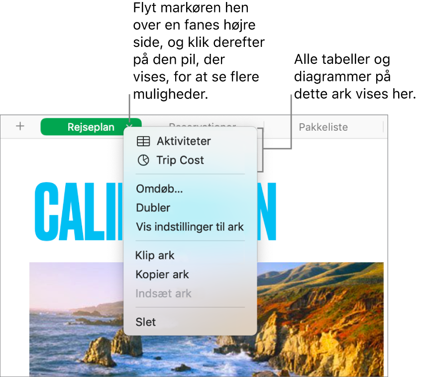 Fanen i et regneark med en åben genvejsmenu, der viser muligheder, herunder Dubler.