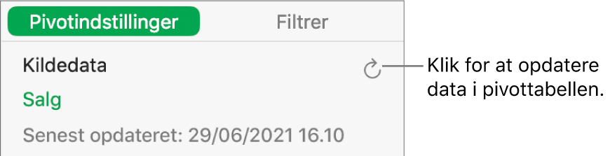 Fanen Pivotindstillinger, der viser muligheden for opdatering af pivottabellen.