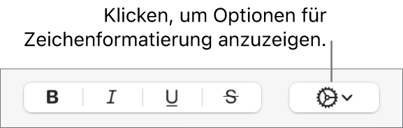 Die Taste „Erweiterte Optionen“ neben den Tasten „Fett“, „Kursiv“ und „Unterstrichen“