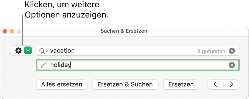 Das Fenster „Suchen & Ersetzen“ mit einer Beschreibung der Taste, mit der weitere Optionen eingeblendet werden können