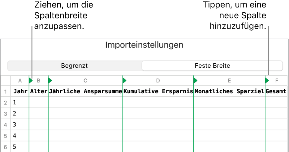 Die Importeinstellungen für eine Textdatei mit fester Breite.