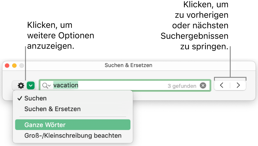 Das Fenster „Suchen & Ersetzen“ mit dem Einblendmenü, in dem Optionen zum Suchen, Suchen und Ersetzen, Suchen ganzer Wörter und Suchen unter Berücksichtigung der Groß-/Kleinschreibung zu sehen sind. Mit den Pfeilen auf der rechten Seite kann zu den vorherigen bzw. nächsten Suchergebnissen gesprungen werden.