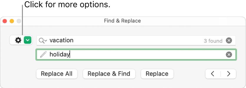 The Find & Replace window with a callout to the button to show more options.