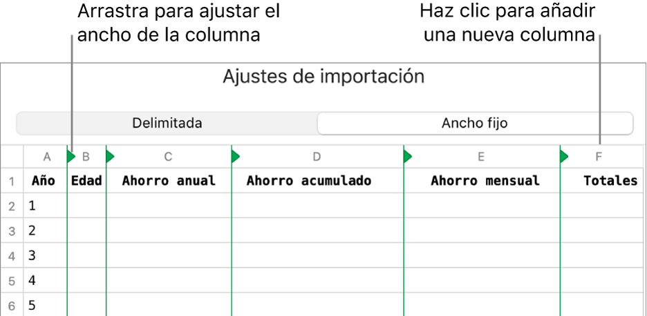 Los ajustes de importación de un archivo de texto de ancho fijo.