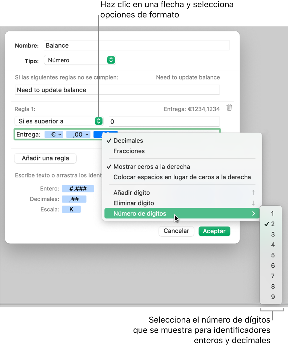 La ventana de formato de celda personalizado con controles para seleccionar opciones de formato personalizadas.