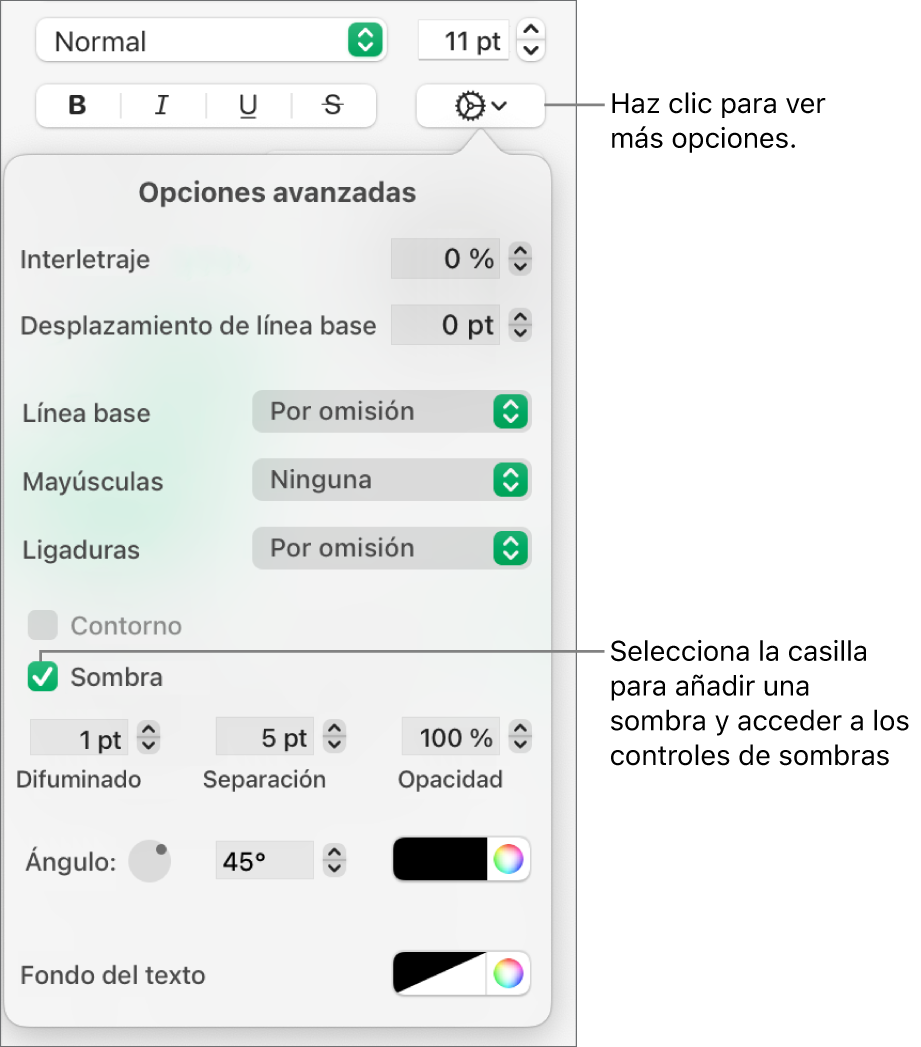 El menú “Más opciones de texto” abierto con la casilla Sombras seleccionada y controles para configurar el desenfoque, la desviación, la opacidad, el ángulo y el color.