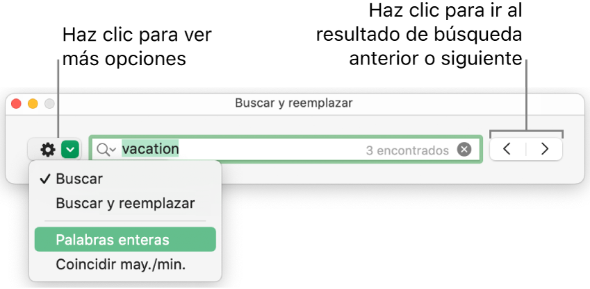 La ventana “Buscar y reemplazar” con el menú desplegable donde aparecen las opciones Buscar, “Buscar y reemplazar,” “Palabras enteras” y “Coincidir may./min.”. Las flechas de la derecha te permiten moverte entre el resultado de búsqueda anterior y el siguiente.