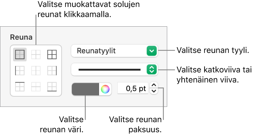 Säätimet solun reunojen tyylin asettamista varten.