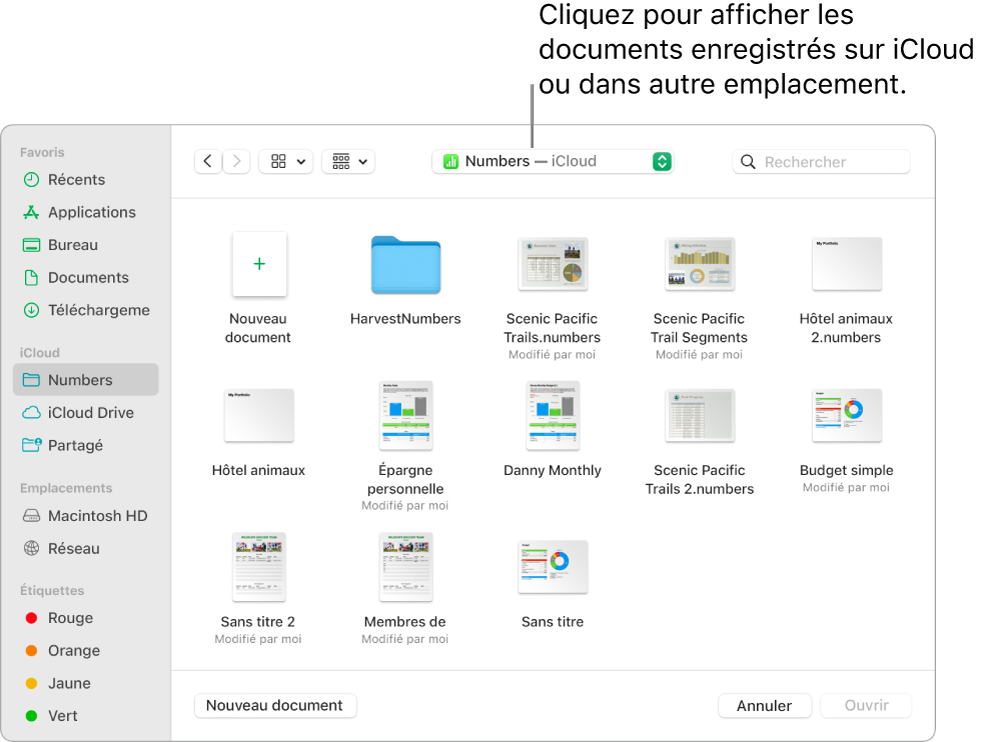 La boîte de dialogue Ouvrir avec la barre latérale s’ouvre à gauche et le lecteur iCloud Drive sélectionné apparaît dans le menu contextuel en haut de l’écran. Les dossiers de Keynote, Numbers et Pages apparaissent dans la boîte de dialogue ainsi qu’un bouton Nouveau document.