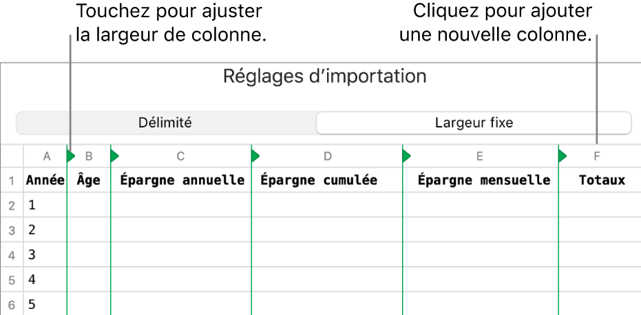 Réglages d’importation d’un fichier texte à largeur fixe.