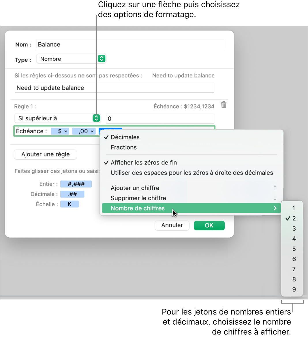 La fenêtre de format de cellule personnalisé présentant les commandes permettant de choisir des options de mise en forme personnalisée.