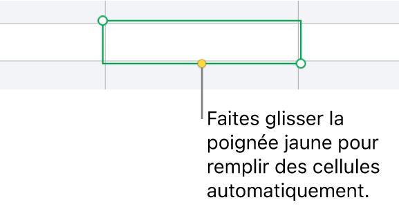 Une cellule sélectionnée avec une poignée jaune à faire glisser pour remplir automatiquement des cellules.