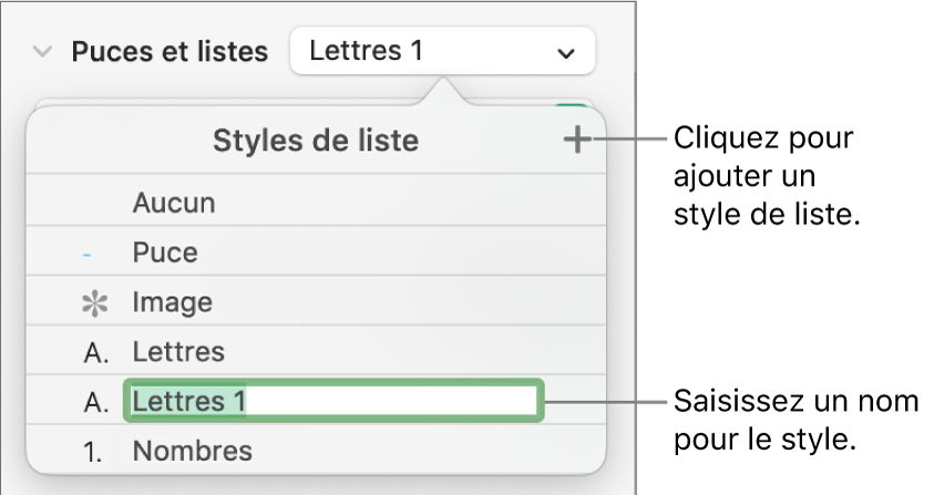 Menu contextuel Styles de liste avec un bouton Ajouter dans le coin supérieur et un nom de style de paramètre fictif dont le texte est sélectionné.