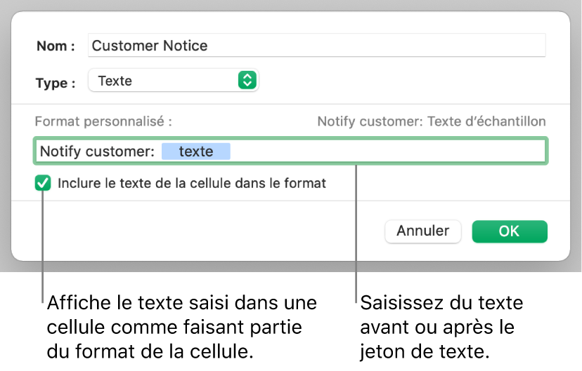 Format de cellule texte personnalisé.