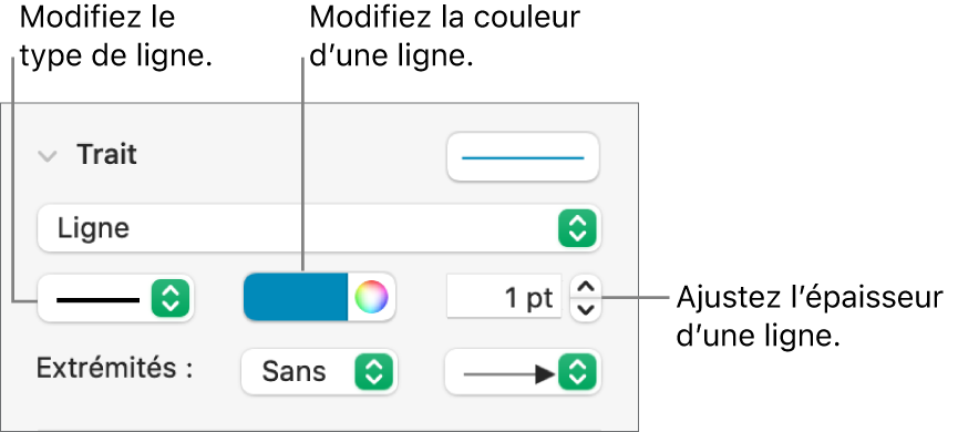 Les commandes de trait permettant de définir des extrémités, l’épaisseur du trait et sa couleur.