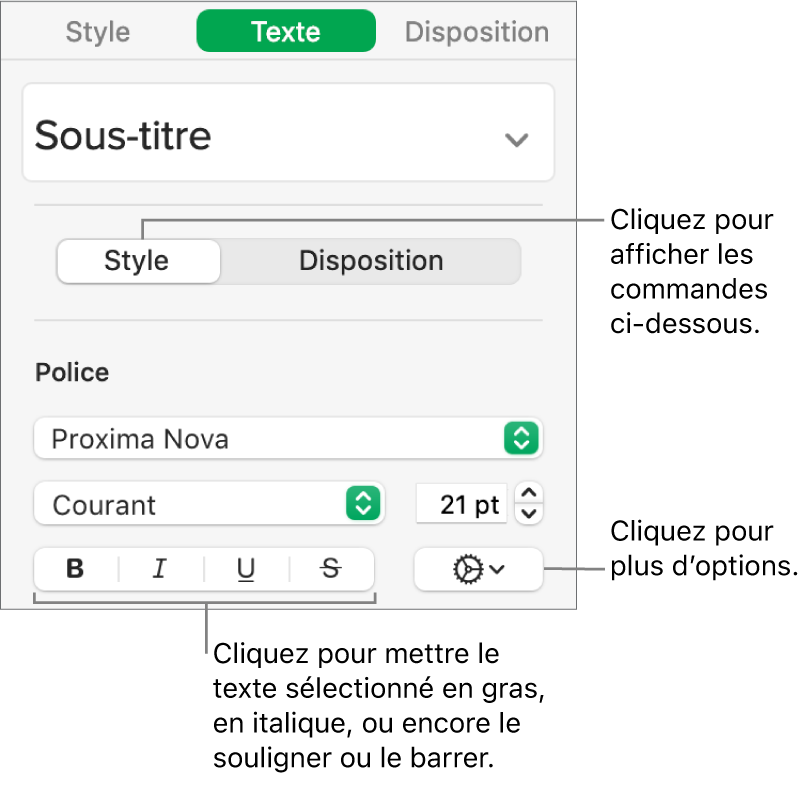 Commandes Styles de la barre latérale avec les légendes des boutons Gras, Italique, Souligné et Barré.