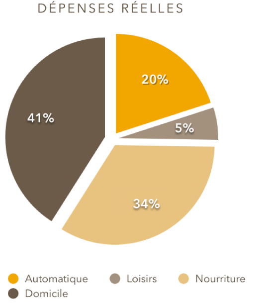 Diagramme circulaire avec portions séparées.