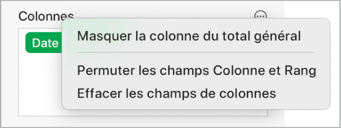 Le menu « Options du champ » affichant les commandes permettant de masquer les totaux généraux, de permuter les champs Colonne et Rang, et d’effacer des champs.