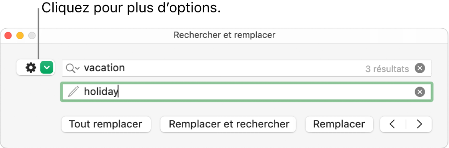 La fenêtre Rechercher et remplacer accompagnée d’une légende pour le bouton permettant d’afficher plus d’options.