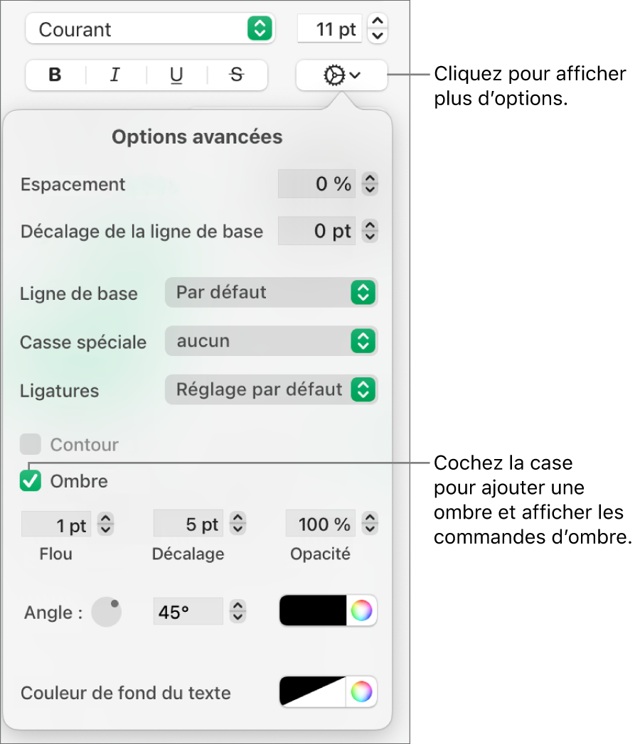 Le menu Plus d’options de texte avec la case Ombres cochée et les commandes pour définir le flou, le décalage, l’opacité, l’angle et la couleur.