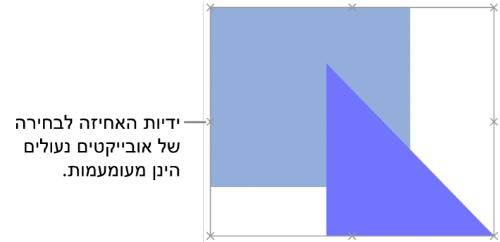 אובייקטים נעולים עם ידיות בחירה מעומעמות.